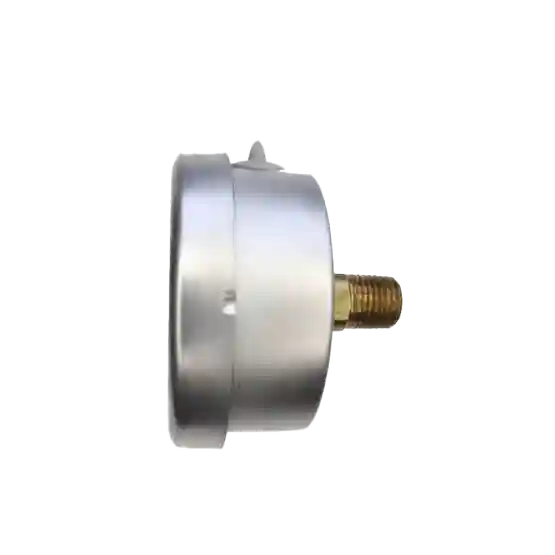 เกจวัดแรงดัน pressure gauge octa nuovafima gbk63 radiusglobal r1 1 555x555 1.webp